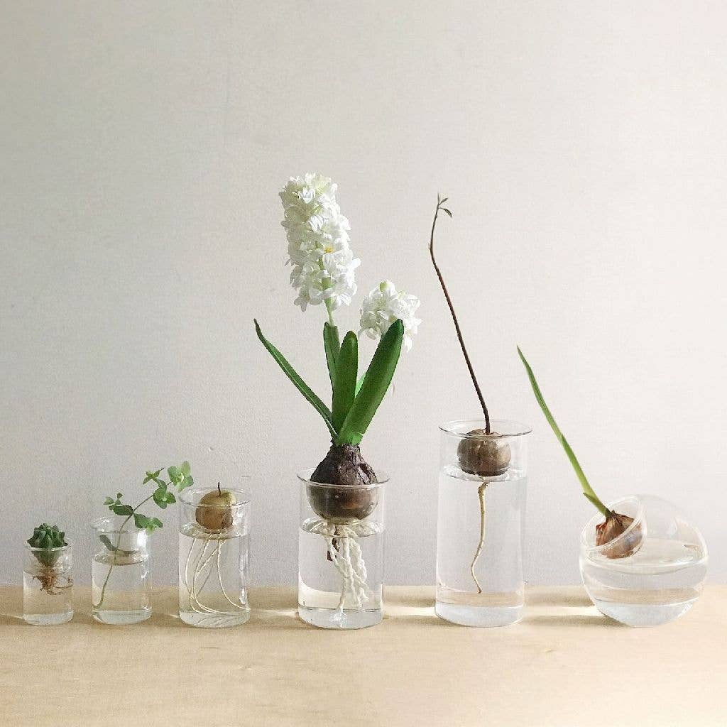 Bulb Vases