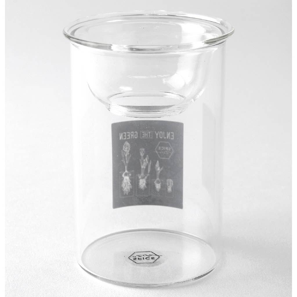 Bulb Vases