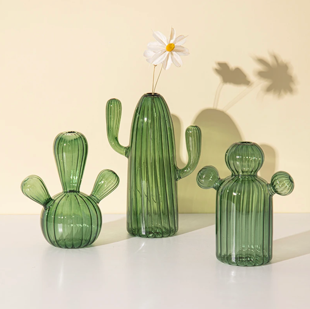 Home & Garden