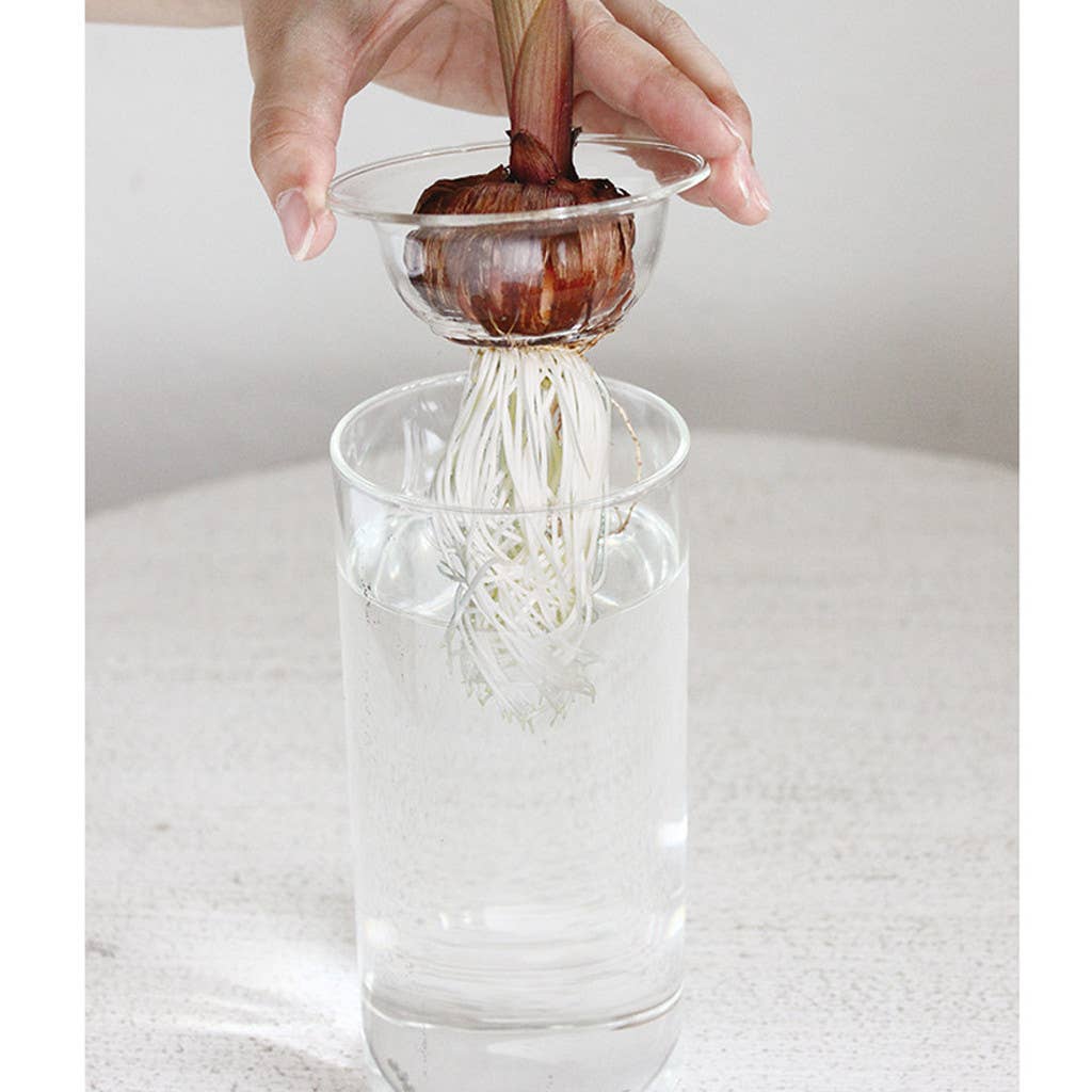 Bulb Vases
