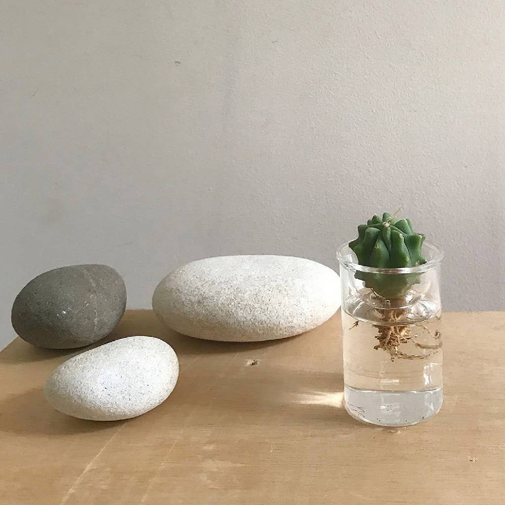 Bulb Vases