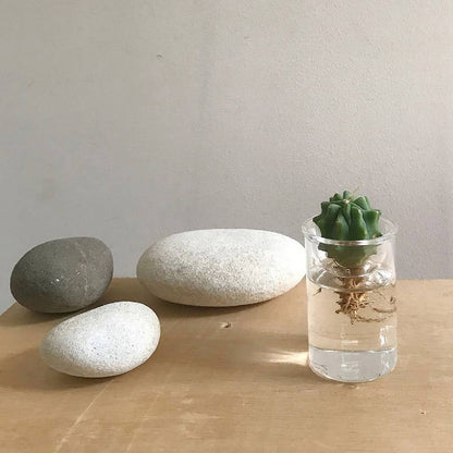 Bulb Vases