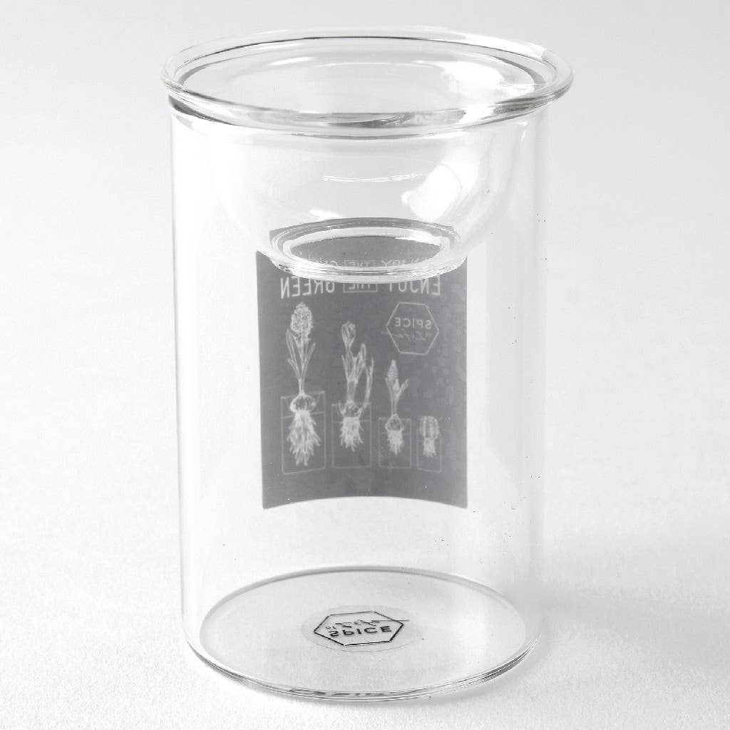 Bulb Vases