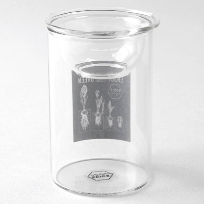 Bulb Vases