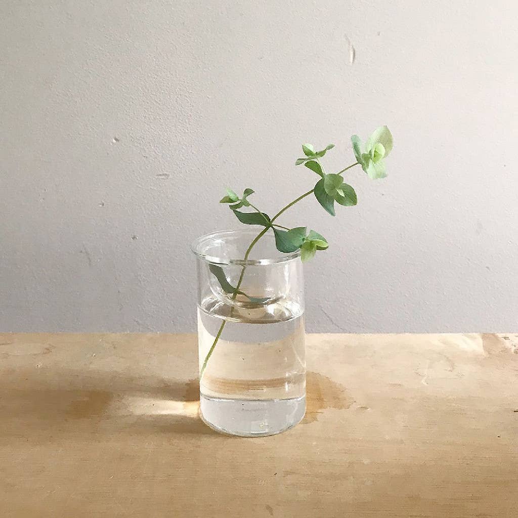 Bulb Vases