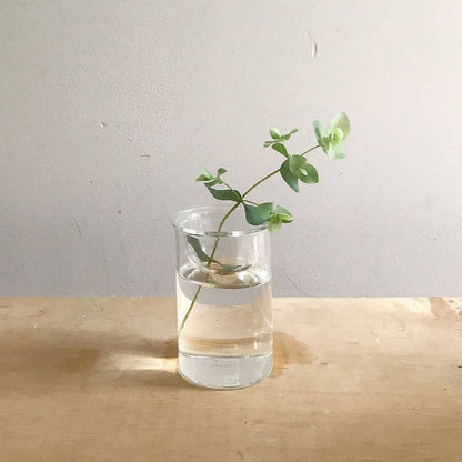 Bulb Vases