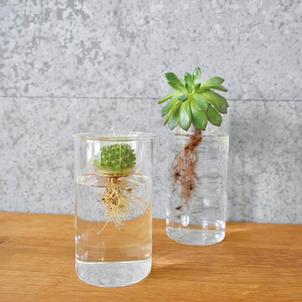Bulb Vases