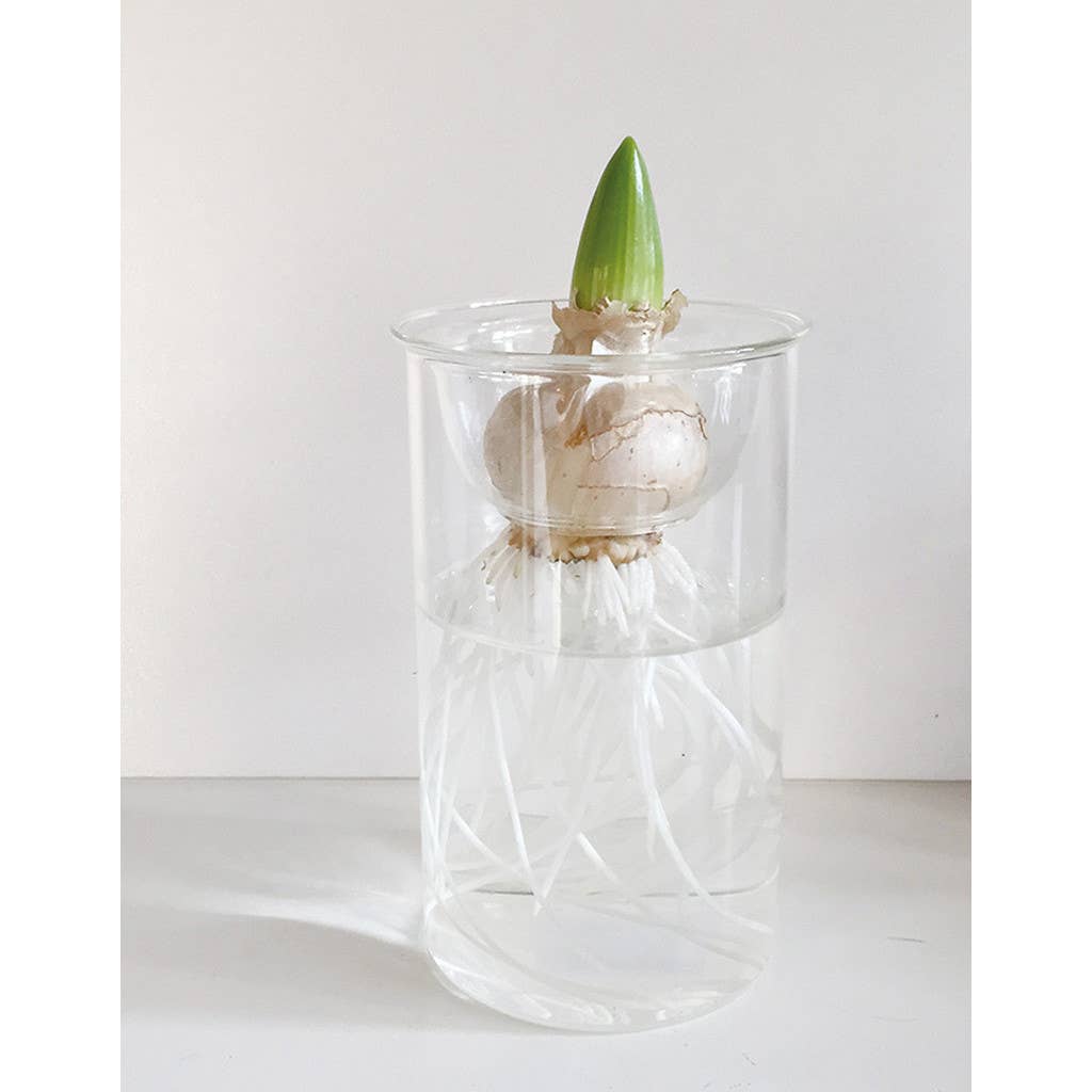 Bulb Vases