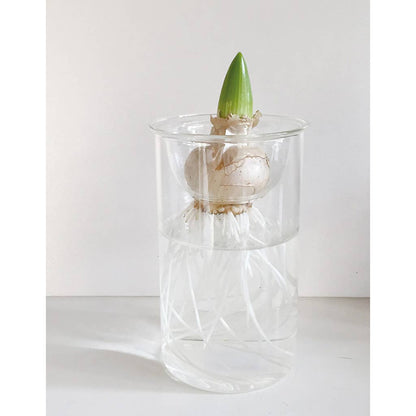 Bulb Vases