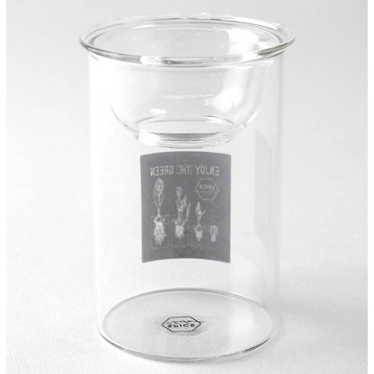 Bulb Vases