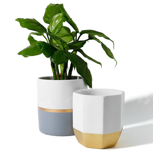 6.1 + 5 Inch Cylinder and Octagon Ceramic Planters, Set of 2
