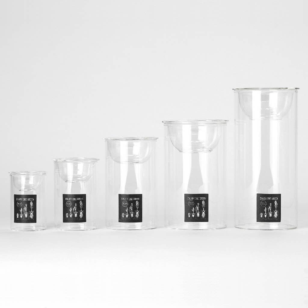 Bulb Vases