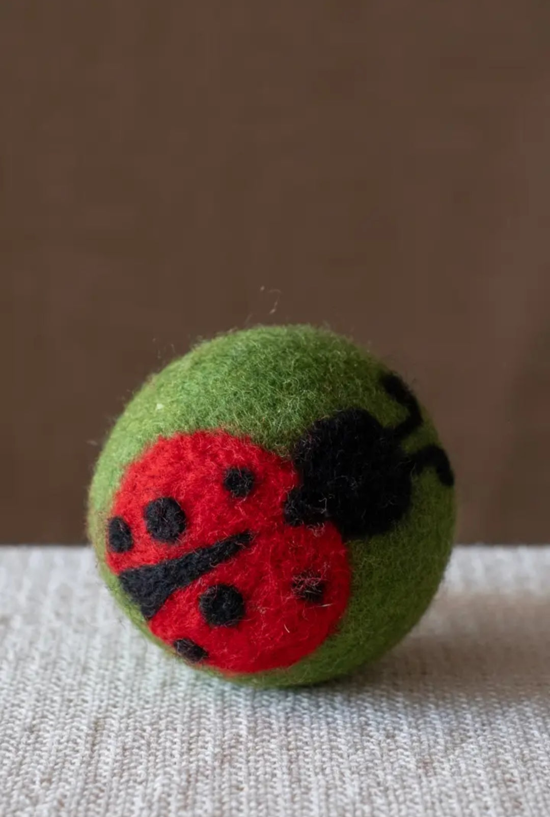 Lady Bug Dryer Ball